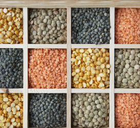 Quality Pulses - Sarva Foods