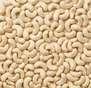 Premium Cashew Nuts