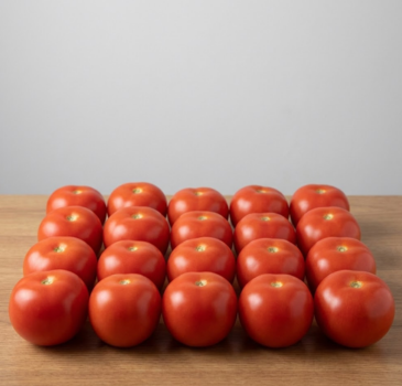 Fresh Tomatoes