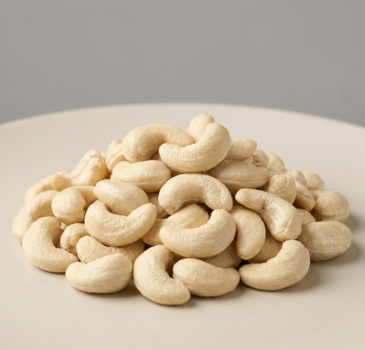 Premium Cashew Nuts